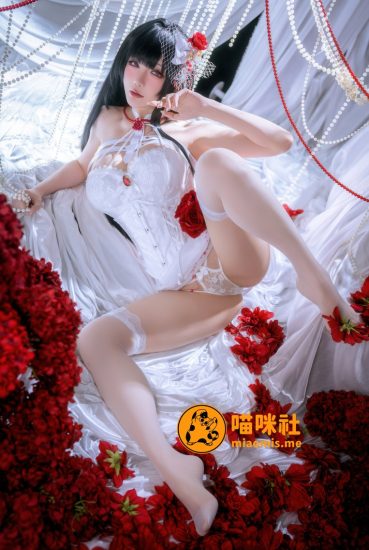 星之迟迟 NO.271 2026年01月计划B Nikke米哈拉：羁绊锁链 [45P-205MB]VIP-喵咪社